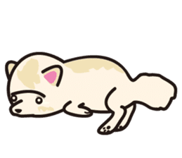 Cute Pomeranians sticker #1213994