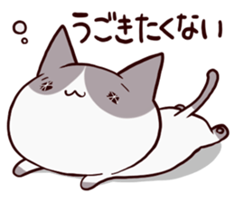 dull cat sticker #1214162