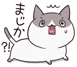 dull cat sticker #1214164