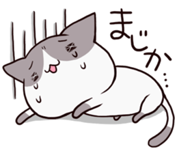 dull cat sticker #1214165