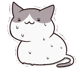 dull cat sticker #1214167