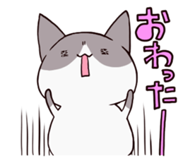 dull cat sticker #1214176