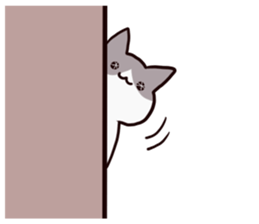 dull cat sticker #1214182