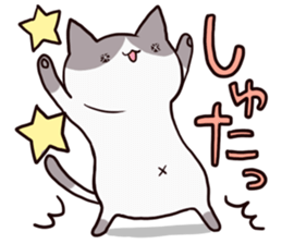 dull cat sticker #1214189