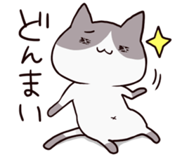dull cat sticker #1214200