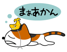 NAGOYA cat and noted products. sticker #1214608