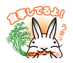 NetherDwa Selene sticker #1216796