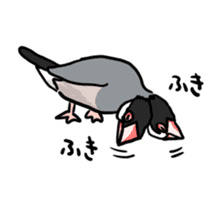 Java sparrow Chappy vol2 sticker #1218402