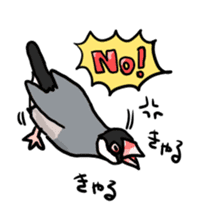 Java sparrow Chappy vol2 sticker #1218409