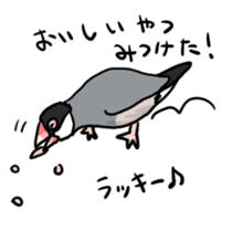 Java sparrow Chappy vol2 sticker #1218411