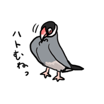 Java sparrow Chappy vol2 sticker #1218413