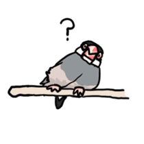 Java sparrow Chappy vol2 sticker #1218414