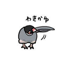 Java sparrow Chappy vol2 sticker #1218417
