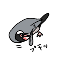 Java sparrow Chappy vol2 sticker #1218418