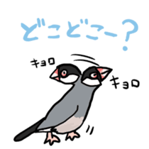 Java sparrow Chappy vol2 sticker #1218423