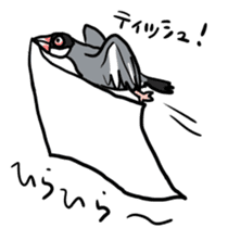 Java sparrow Chappy vol2 sticker #1218439