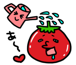 Tomatoes sticker #1219160