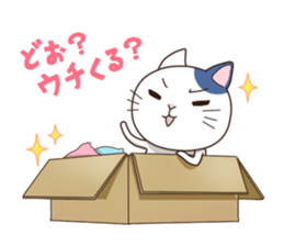 Everyday Cat sticker #1222274