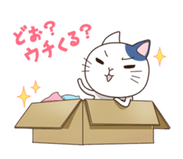 Everyday Cat sticker #1222274