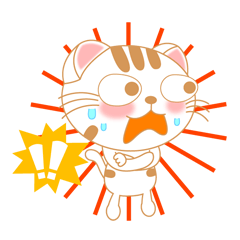 The Everyday Life of a Funny Cat