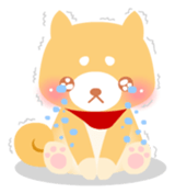 kuri & maron sticker #1224062