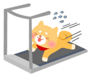 kuri & maron sticker #1224077