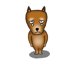 my sullen Japanese Shiba inu sticker #1224648