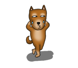 my sullen Japanese Shiba inu sticker #1224655