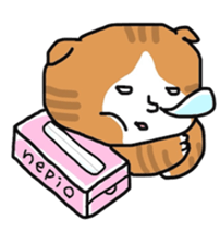 human cat sticker #1224897