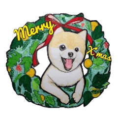 Merry Christmas pomeranian sticker