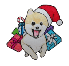 Merry Christmas pomeranian sticker sticker #1228682