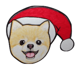 Merry Christmas pomeranian sticker sticker #1228690