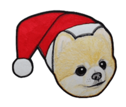 Merry Christmas pomeranian sticker sticker #1228691
