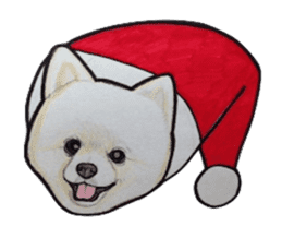 Merry Christmas pomeranian sticker sticker #1228692