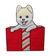 Merry Christmas pomeranian sticker sticker #1228706