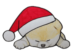 Merry Christmas pomeranian sticker sticker #1228713