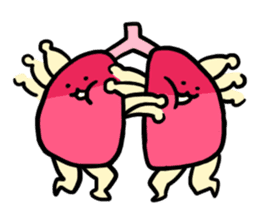 Mr organs sticker #1229311