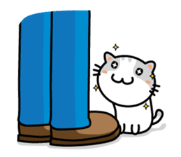 Natty Cat sticker #1231406