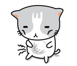Natty Cat sticker #1231418