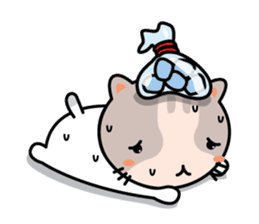 Natty Cat sticker #1231427