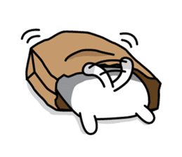 Natty Cat sticker #1231431