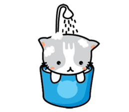 Natty Cat sticker #1231432