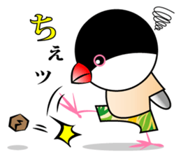 Little Bird Java sparrow and Sparrow sticker #1233919