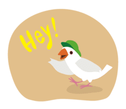 Bird Zoo sticker #1235215