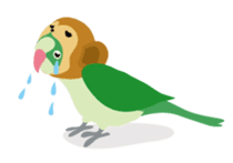 Bird Zoo sticker #1235238