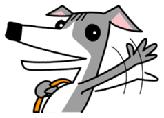 Life of the Italian greyhound Vol.2 sticker #1236126