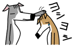 Life of the Italian greyhound Vol.2 sticker #1236139