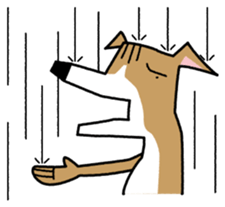 Life of the Italian greyhound Vol.2 sticker #1236143