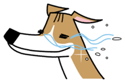 Life of the Italian greyhound Vol.2 sticker #1236155