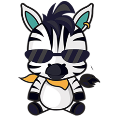 Zonie, the cute and charming zebra